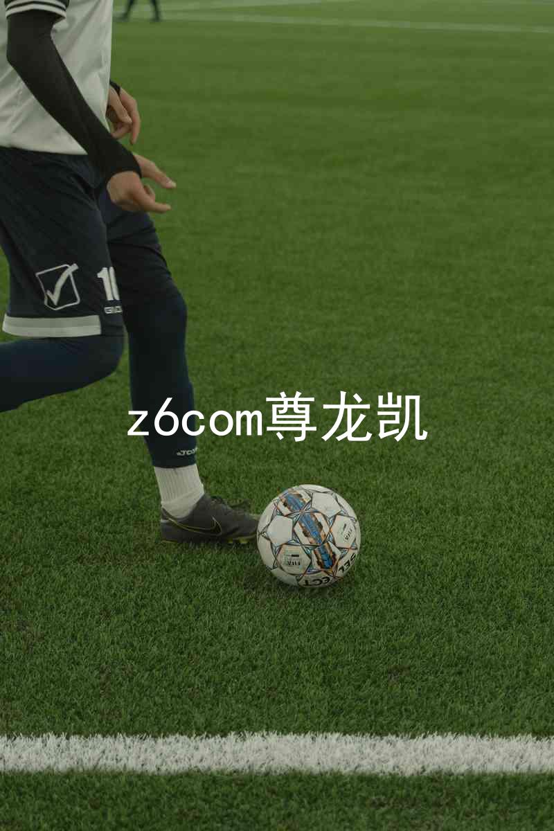 z6com尊龙凯