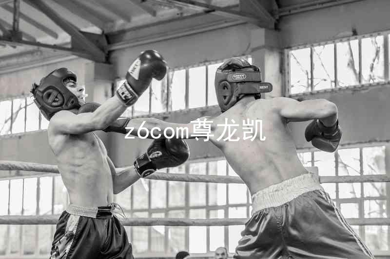 z6com尊龙凯