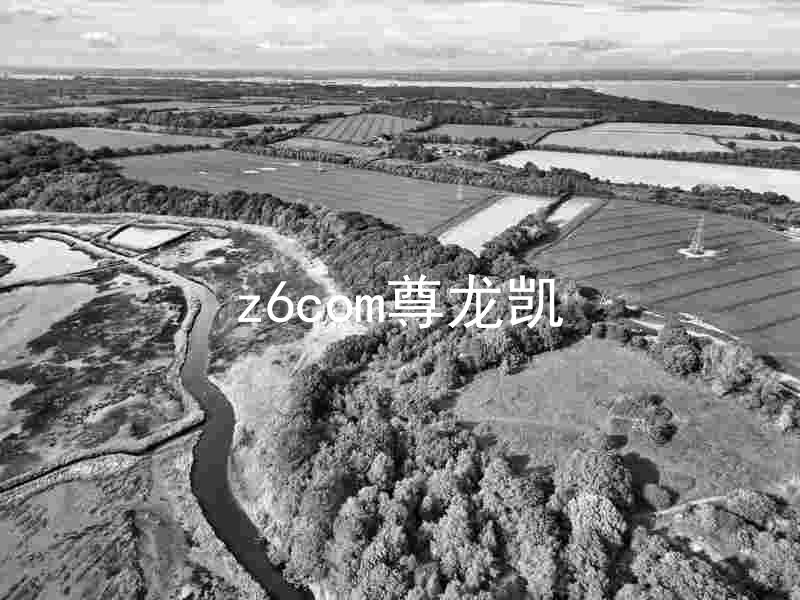 z6com尊龙凯