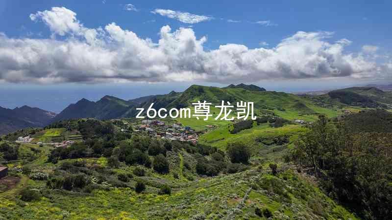 z6com尊龙凯