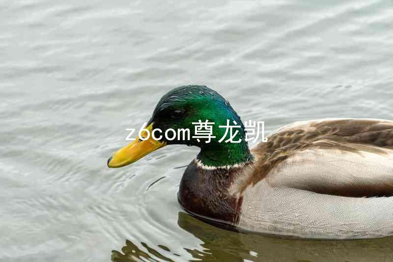 z6com尊龙凯